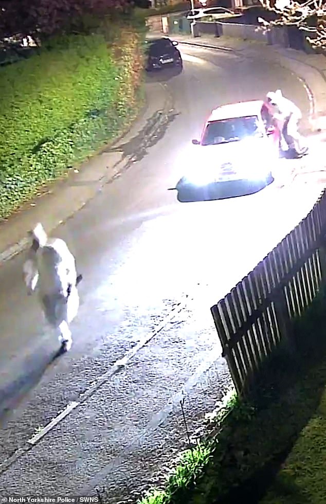 The victim bolted down the residential street in Eastfield, near Scarborough, in North Yorkshire, as the duo dressed in hazmat pursued him on foot with bladed weapons