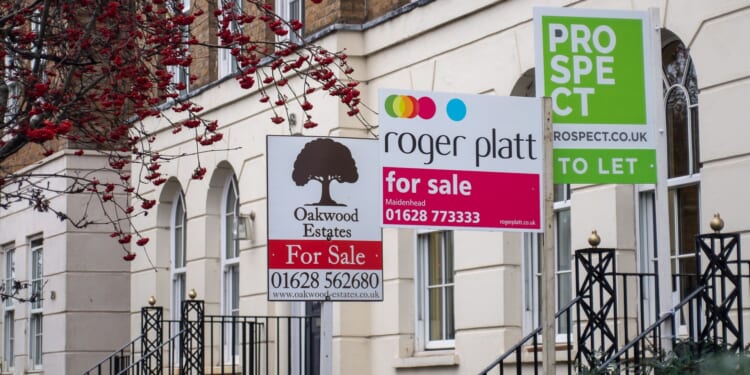 Homeowners handed major lifeline as Christmas interest rate cut looks almost guaranteed