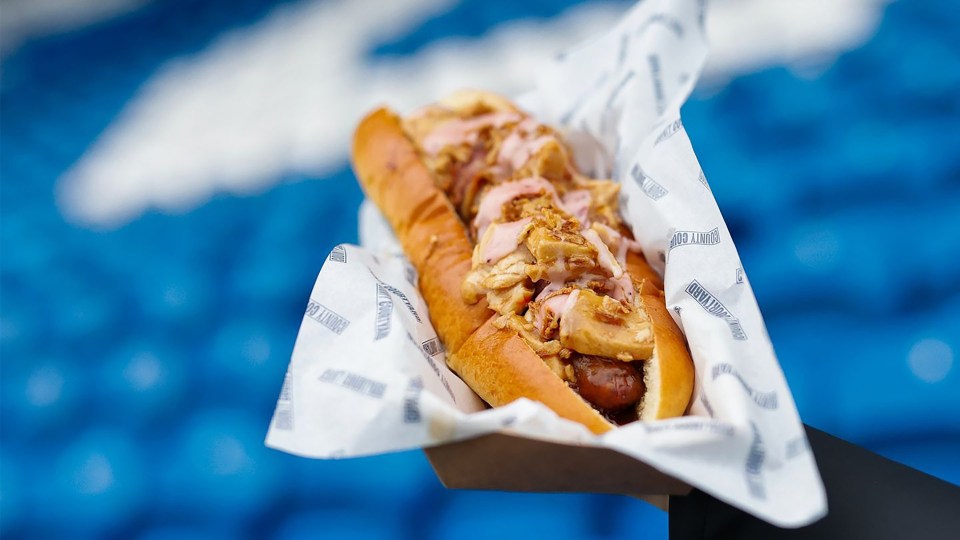 A foot-long hotdog filled with pulled turkey, caramelized red onions, Bovril, and brandy gravy, topped with cranberry mayo and crispy onions, served in a brioche bun.