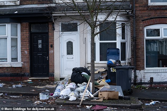 Given the ongoing strike by Birmingham's refuse collectors, this might be any suburban street in the city. But it isn't