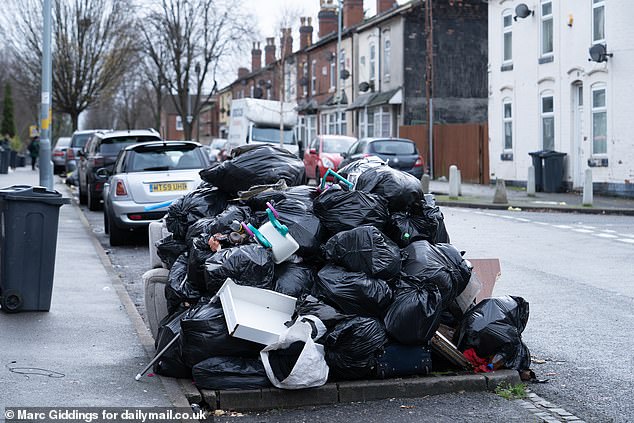 Bin bags, garden waste, a television set, baby swing, umbrella and loose plastic toys are among the items strewn along the street