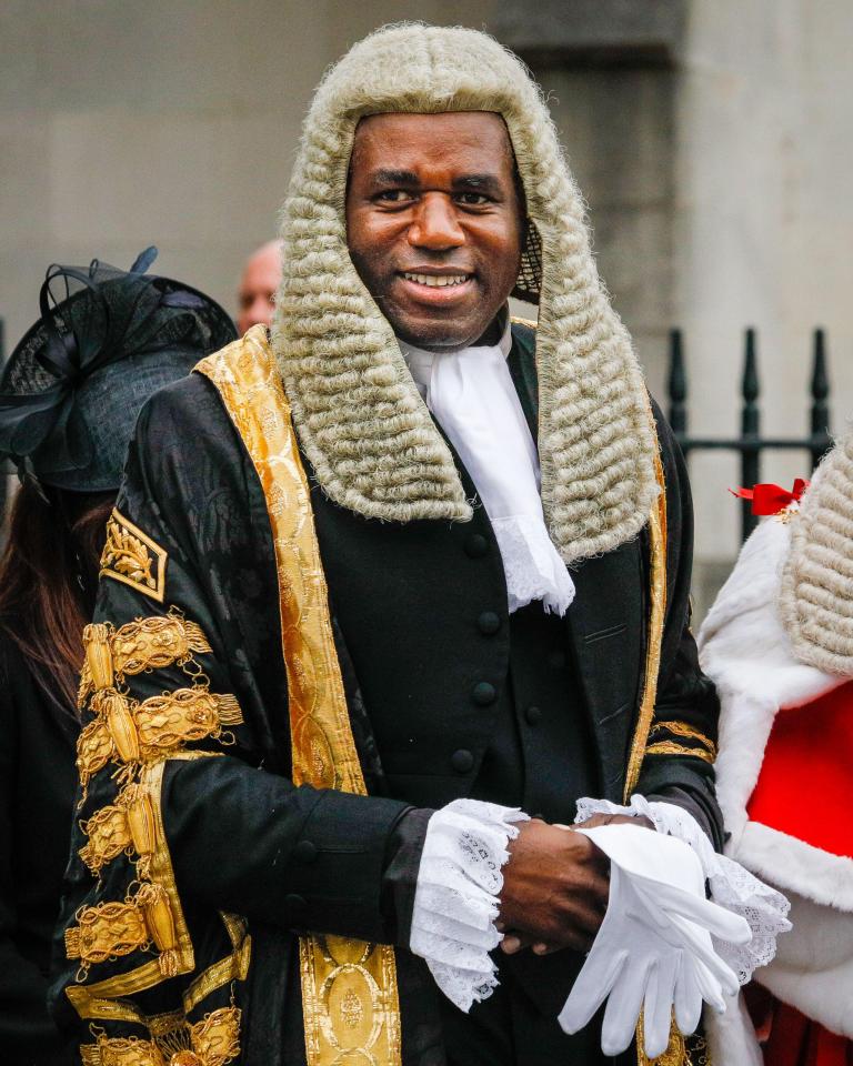Lord Chancellor David Lammy wearing a traditional wig and robe.