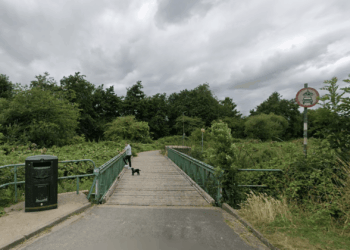 Horror as woman 'raped' in popular wood as cops arrest one and launch urgent appeal for help