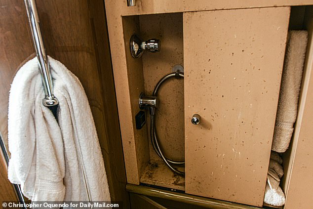 Pictured is the rear/back of Epstein's private aircraft with bathroom and shower area and what appears to be mold