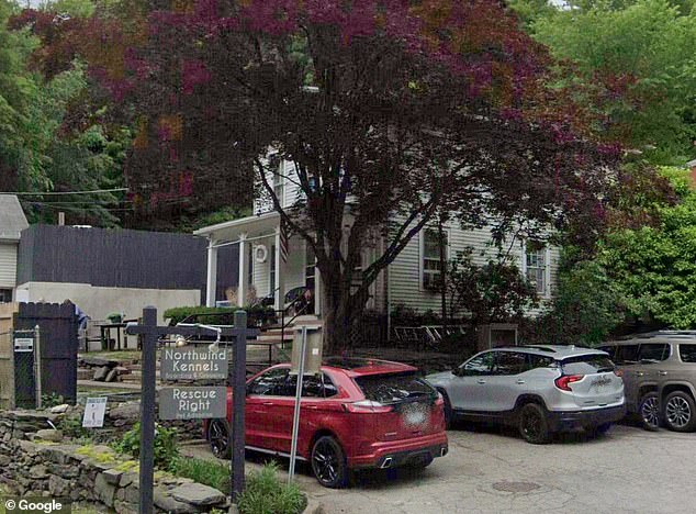 HoundSpa, located in Bedford, New York ,has mixed Google reviews with some customers complaining about poor treatment of their animals