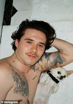 The couple had been pictured cuddling with the adorable pooch in photos shared on social media