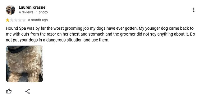 One dog owner, Lauren Krasne, who used HoundSpa's services claims it was the 'worst grooming job my dogs have ever gotten' and that they came back maimed
