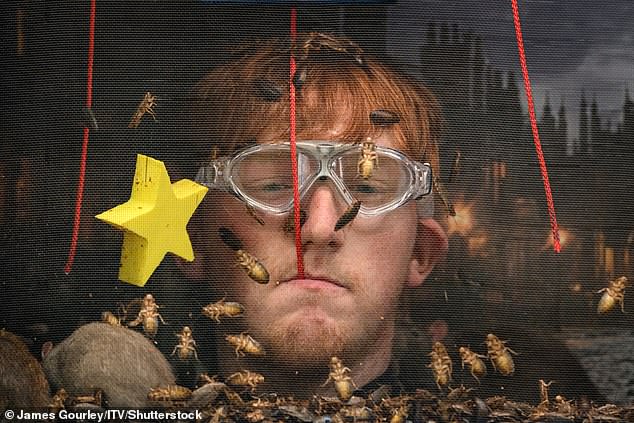 This foul-mouthed, barely-turned-adult is now the favourite to win I¿m A Celebrity and is being considered in ITV boardrooms as the unlikely ¿saviour¿ of the broadcaster