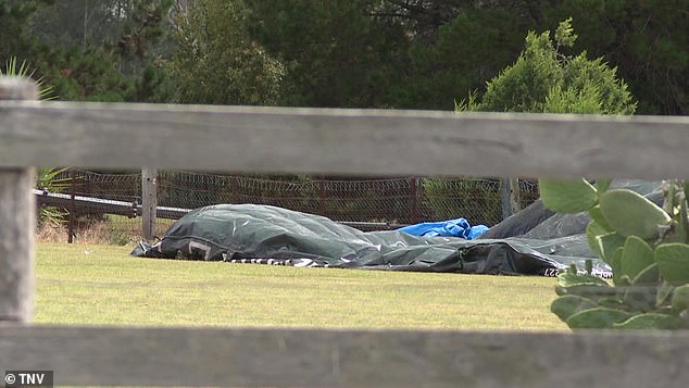 The jumping castle (pictured deflated on the ground) was blown over a neighbouring fence