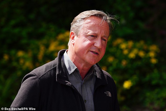 Former prime minister David Cameron (pictured) revealed last week that he had been treated for prostate cancer