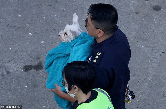 Animal rescue workers carry a dog recovered from the fire-ravaged Wang Fuk Court housing complex, in Tai Po, Hong Kong, China November 28, 2025