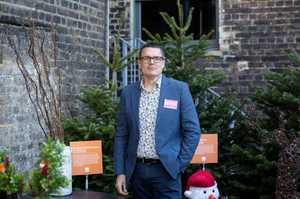 Christmas tree decorated with lights and ornaments inside a greenhouse.