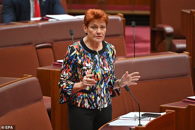 Hanson was suspended while campaigning for the passage of a bill banning the Islamic garment