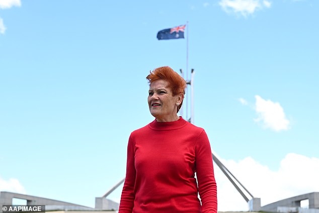 Senator Hanson pictured outside Parliament House in Canberra on Wednesday
