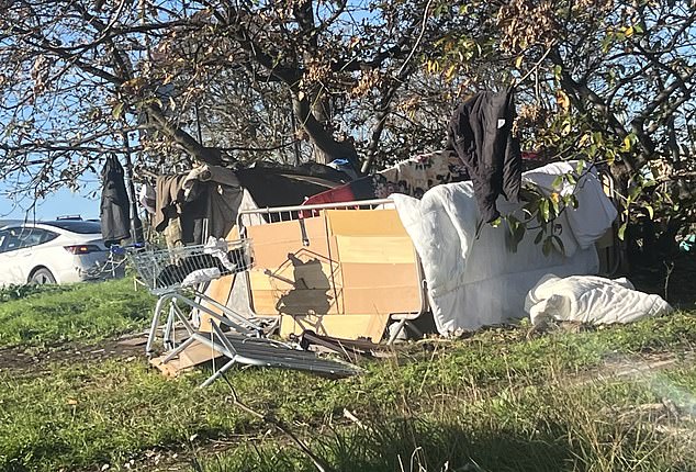 This ten has sprung up in we also found camps this week in Finsbury Park, north London. Figures show that homeless people are over nine times more likely to take their own life