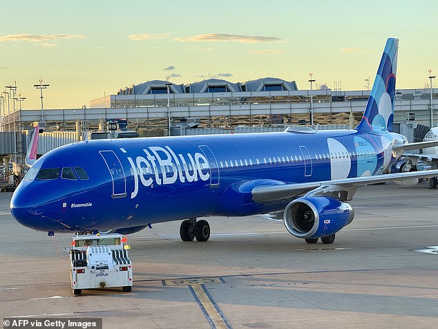 The emergency update came after a JetBlue plane nearly dropped out of the sky mid-flight on October 30 (pictured: stock image)