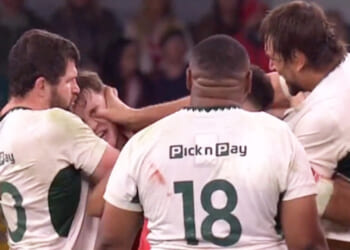 Sickening moment South Africa rugby star GOUGES Wales rival's eye in worst ever Welsh defeat on home soil