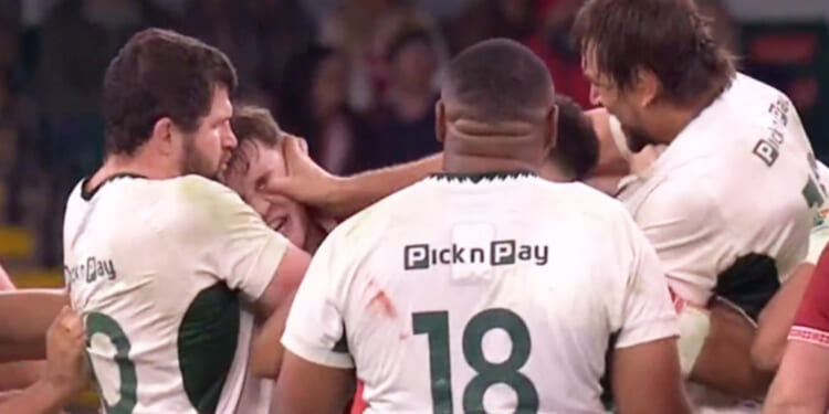 Sickening moment South Africa rugby star GOUGES Wales rival's eye in worst ever Welsh defeat on home soil