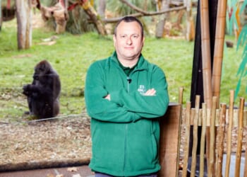 London Zoo boss QUITS amid investigation into 'unacceptable workplace behaviour'