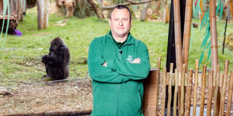 London Zoo boss QUITS amid investigation into 'unacceptable workplace behaviour'