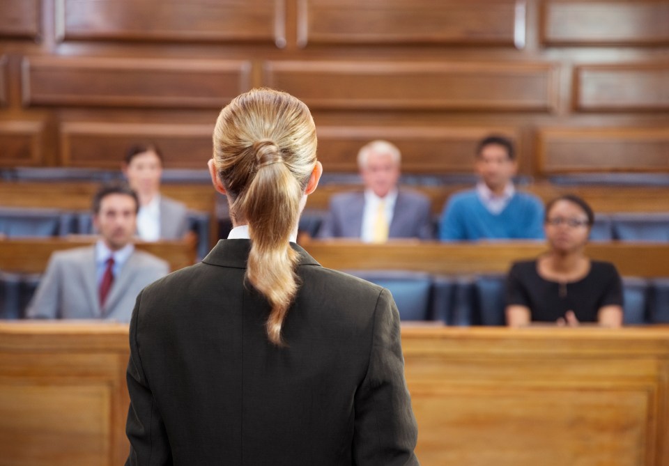 A blonde female lawyer from behind, pleading her case to a jury in a courtroom.