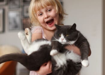 From hairball remedies to the perfect starter animal for your kids