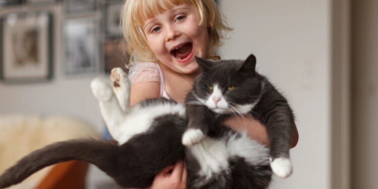 From hairball remedies to the perfect starter animal for your kids