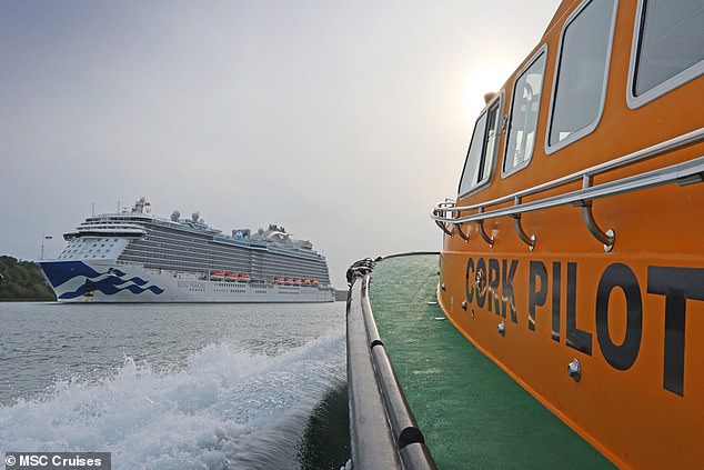 Cruise liner companies may ask local pilots on board to help the ship's captain navigate coming in and out of ports