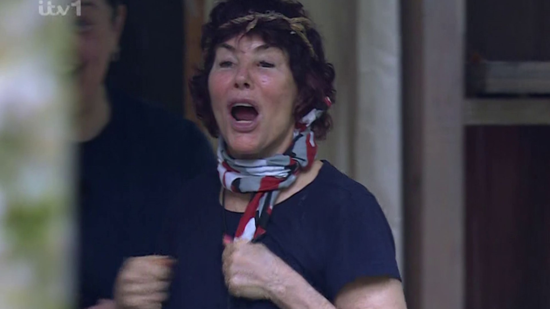 Ruby Wax SCREAMS orders at I'm A Celebrity stars as she takes control of camp in 'pure insanity' move