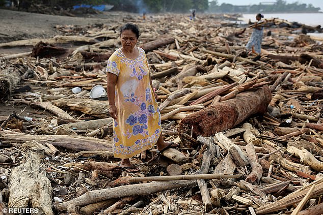 A woman stands among tree trunks and dead wood swept onto a shore following the deadly flash floods that have hit Indonesia in the last week