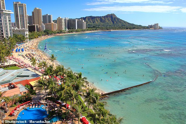Minneapolis CEO was accused of embezzling over six figures to fund a first-class trip to Hawaii. Luxurious oceanfront hotel (file)