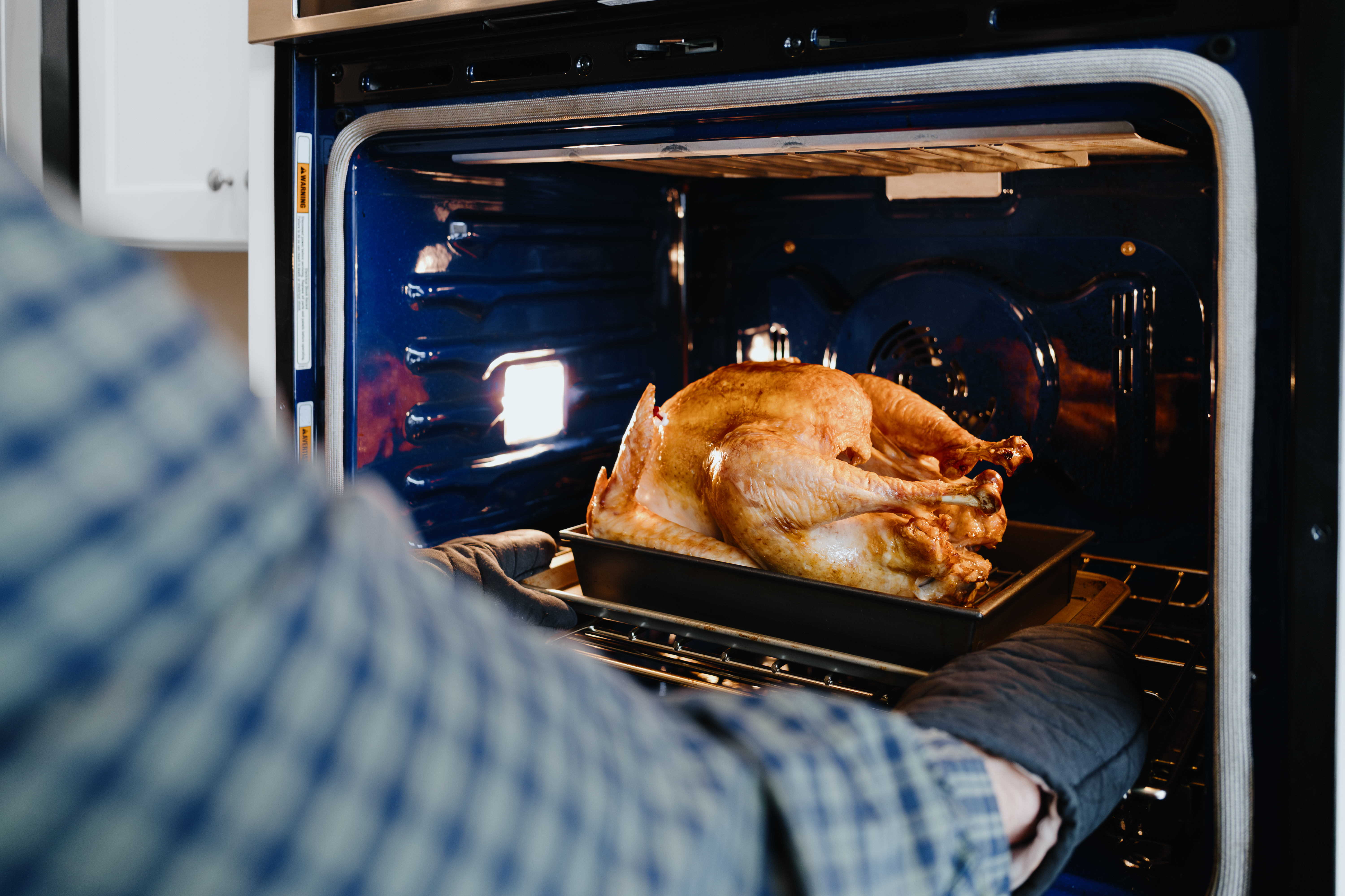 Man Removes Thanksgiving Roast Turkey From Oven