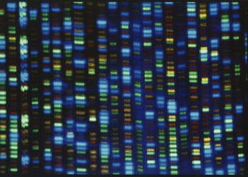 A Child's Murder Finally Solved After 63 Years – HotAir