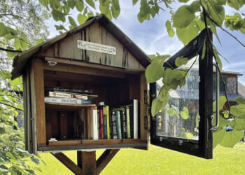 A cupboard of books: Singing the praises of Little Free Libraries