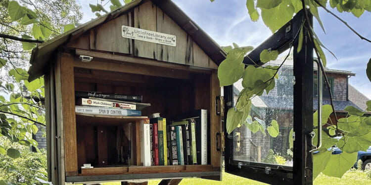 A cupboard of books: Singing the praises of Little Free Libraries