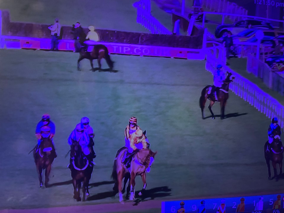 Horses and jockeys at a race track.