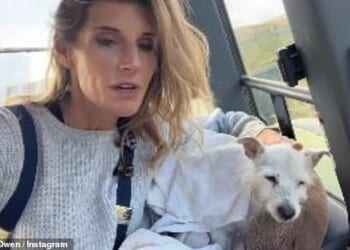 Amanda Owen has been left devastated as she announced the death of her beloved family dog to fans