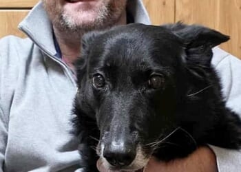 Steve Cockerham, 54, and Molly