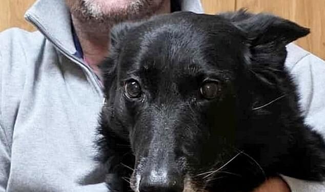 Steve Cockerham, 54, and Molly