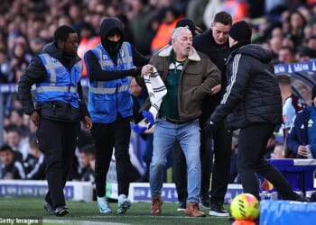 An angry Leeds fan got onto the pitch and attempted to confront Daniel Farke on Sunday