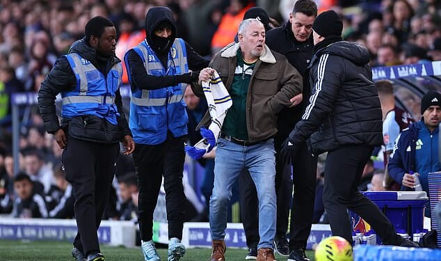 An angry Leeds fan got onto the pitch and attempted to confront Daniel Farke on Sunday