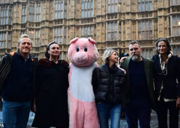 Farms not Factories has the support of many high profile celebrities. Pictured from left to right at one of its demonstrations: Jerome Flynn, Gizzi Erskine, Leslie Ash, Ciaran McMenamin and  Tracy Worcester