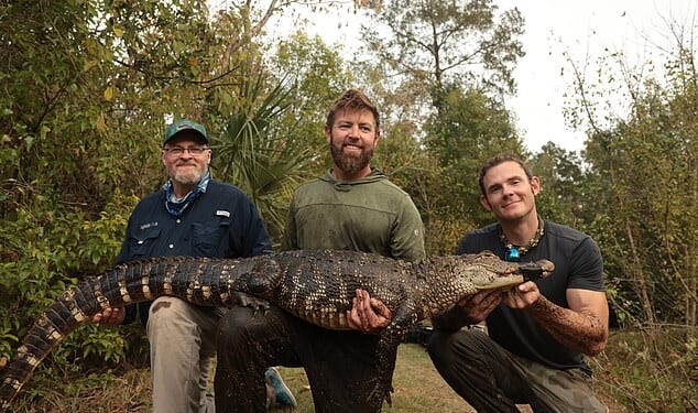 Florida is facing a bizarre new menace: meth-gators made more aggressive by drug contamination leaking into waterways