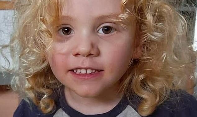 Pictured: Missing boy, Gus Lamont