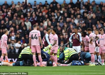 Bournemouth players stand around after seeing Tyler Adams and Adam Smith clash heads