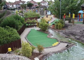 Police were called to Sidcup Family Golf (pictured) on Sidcup Bypass, southeast London , at around 5.45pm on Sunday