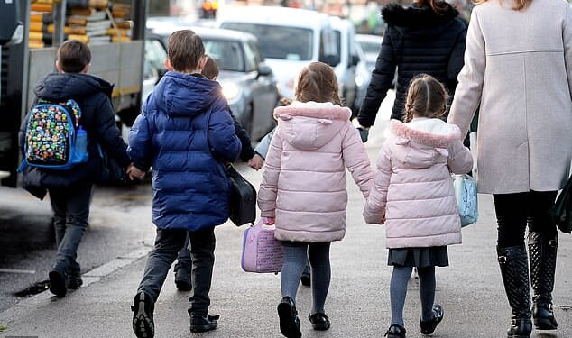 Critics of the two-child cap say it penalises children unfairly (file photo)