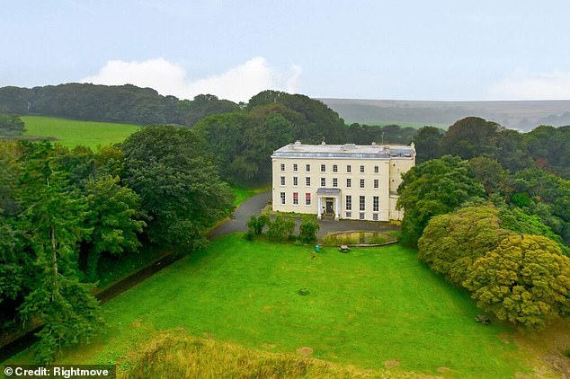 They used to be the hottest properties on the market but these days selling a country house can seem impossible (Orielton, Wales - £650,000)