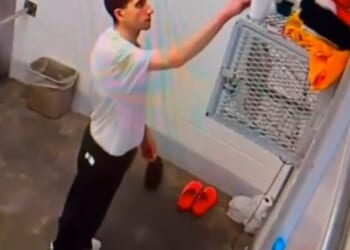 Bryan Kohberger (pictured in his prison cell) must pay the families of Madison Mogen and Kaylee Goncalves additional restitution of about $3,000