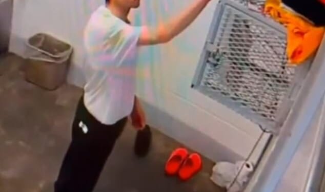 Bryan Kohberger (pictured in his prison cell) must pay the families of Madison Mogen and Kaylee Goncalves additional restitution of about $3,000